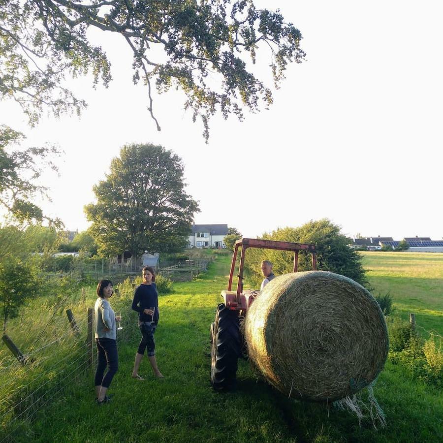 Bastle Retreats Farm Cottage Duns Buitenkant foto